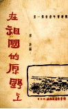 在祖国的原野上 封面
