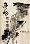 奇松写生图谱100例 封面
