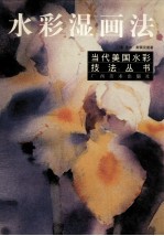 当代美国水彩技法丛书  1·水彩湿画法 封面
