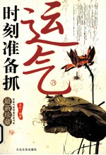 时刻准备抓运气 封面