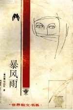 暴风雨 封面