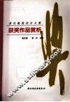 著名服装设计大赛获奖作品赏析 封面