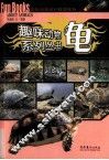龟 封面