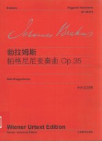 约翰内斯·勃拉姆斯  帕格尼尼变奏曲 电子书封面