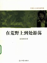 在荒野上到处游荡 电子书封面