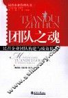 团队之魂  民营企业团队构建与绩效提升 封面
