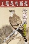 祁麟云鹰作品选 封面