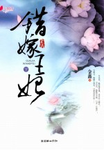 错嫁王妃  下 封面