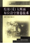 综放（采）大断面原位沿空留巷技术 封面
