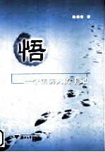 悟  一个消防人的手记 封面