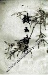 铁云诗存 封面