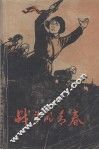 战斗的青春 封面