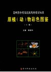 贵州省中药及民族药材质量标准原植（动）物彩色图鉴  上 电子书封面