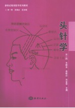 头针学 封面