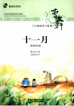 十一月 封面