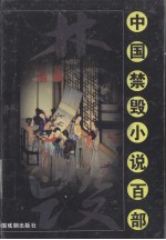 中国禁毁小说百部  野叟曝言  卷3 封面