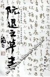 阮退之草书 封面