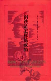 钢铁是怎样炼成的 封面