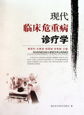 现代临床危重病诊疗学 封面