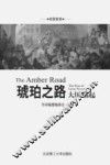 琥珀之路  大国崛起 封面