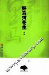野马河苍生  中 封面