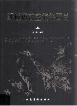 郑板桥书画编年图目  上 封面