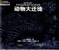 动物大迁徙 封面