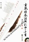 古琴弹奏经典歌曲三十首 封面