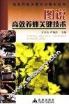 图说高效养蜂关键技术 封面