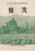 碳化法合成氨流程制碳酸氢铵  铜洗
