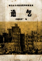 碳化法合成氨流程制碳酸氢铵  造气