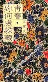 青春你何处躲藏 封面