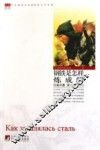 钢铁是怎样炼成的 封面