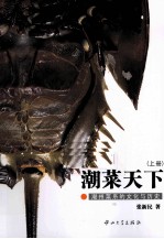 潮菜天下  上  潮州菜系的文化与历史 封面