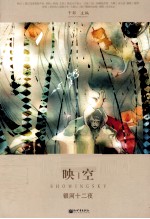 映空·银河十二夜 封面
