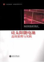 硅太阳能电池  高级原理与实践 封面