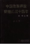 中国改革开发辉煌成就四十年  湛江卷 封面