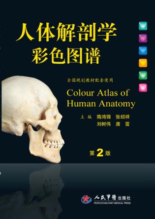 人体解剖学彩色图谱  全国规划教材配套用书  第2版 封面