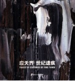 应天齐世纪遗痕 封面