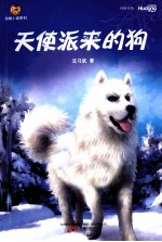 天使派来的狗 封面