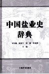 中国盐业史辞典 封面