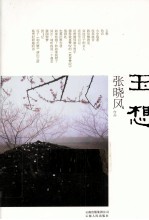 玉想 封面