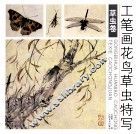 工笔画花鸟草虫特写  草虫卷 封面
