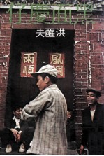 黑面庆仔 电子书封面