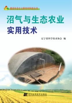 沼气与生态农业实用技术 封面