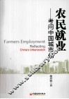 农民就业  考问中国城市化 封面