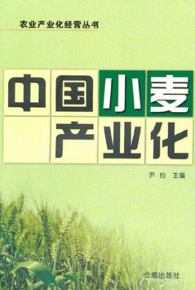 中国小麦产业化 封面