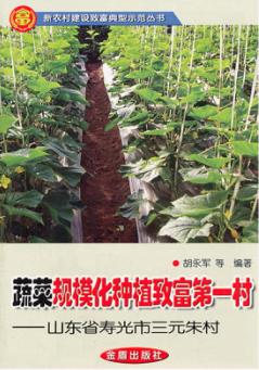 蔬菜规模化种植致富第一村  山东省寿光市三元朱村 封面