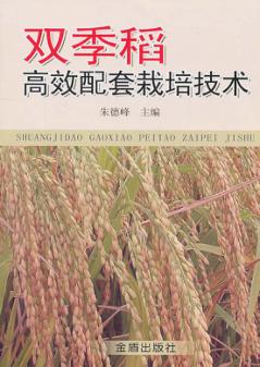 双季稻高效配套栽培技术 封面