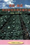 西瓜甜瓜高效栽培及病虫害防治 封面